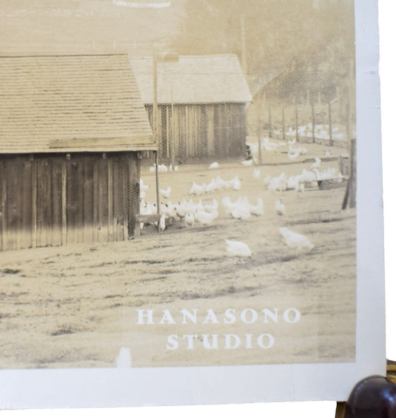 Panoramic Photograph of a California Chicken Farm
