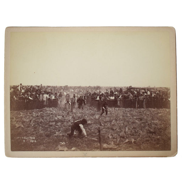 Six Photographs from the Grand Army Rabbit Drive in Fresno on March 12, 1892 [with] Two Photographs from a Later Rabbit Drive