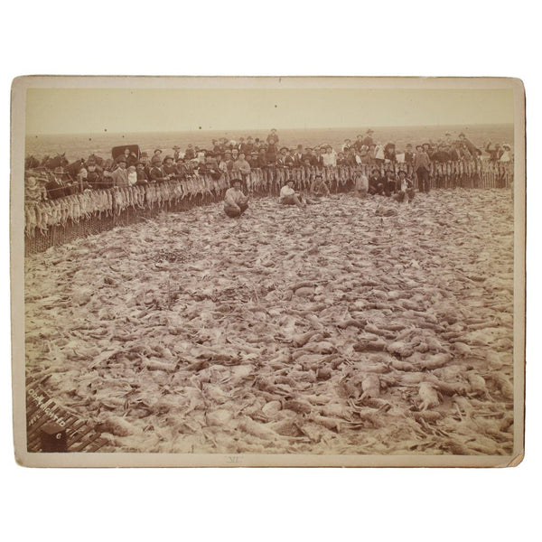 Six Photographs from the Grand Army Rabbit Drive in Fresno on March 12, 1892 [with] Two Photographs from a Later Rabbit Drive