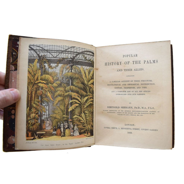Popular History of the Palms and Their Allies, Containing a Familiar Account of Their Structure, Geographical and Geological Distribution, History, Properties, and Uses, and a Complete List of All the Species Introduced into Our Gardens.