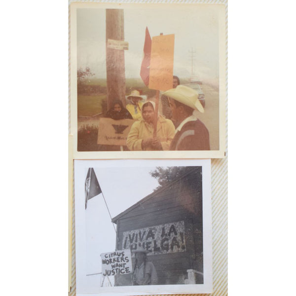 Photograph Album Documenting an Ontario, California, High School Teacher's Involvement in CORE during Freedom Summer and in the Farm Workers' Movement
